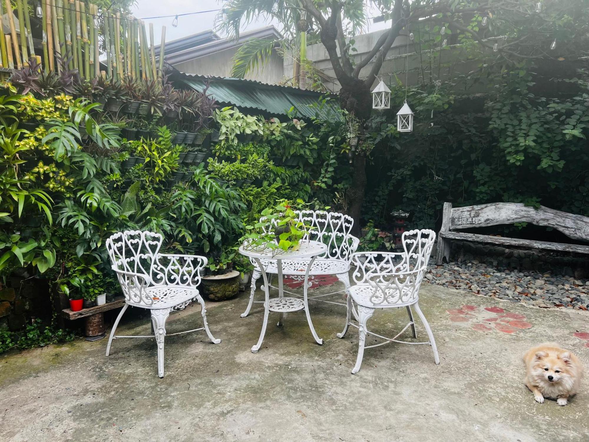 Anton & Isabel Bangued